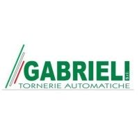 Gabrieli srl 